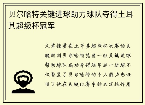 贝尔哈特关键进球助力球队夺得土耳其超级杯冠军 贝尔哈特关键进球助力球队夺得土耳其超级杯冠军